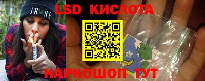 шишки Сланцы