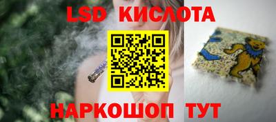 шишки Сланцы