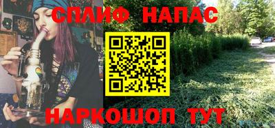 шишки Сланцы